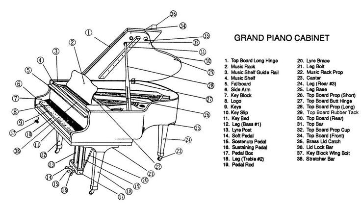 Grand Piano Component Chart